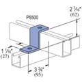P5545